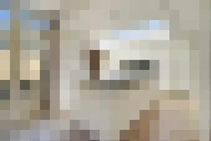 Patrijslaan 54 Honselersdijk thumbnail 12