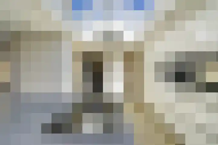 Patrijslaan 54 Honselersdijk thumbnail 14