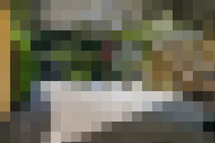 Patrijslaan 54 Honselersdijk thumbnail 19