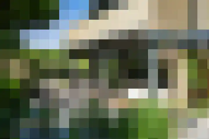 Patrijslaan 54 Honselersdijk thumbnail 21