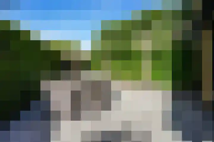 Patrijslaan 54 Honselersdijk thumbnail 23