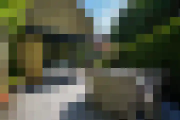 Patrijslaan 54 Honselersdijk thumbnail 24