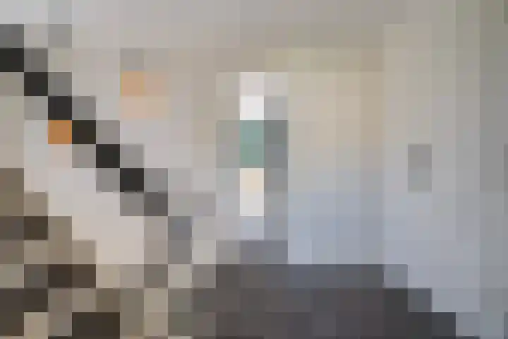 Patrijslaan 54 Honselersdijk thumbnail 32