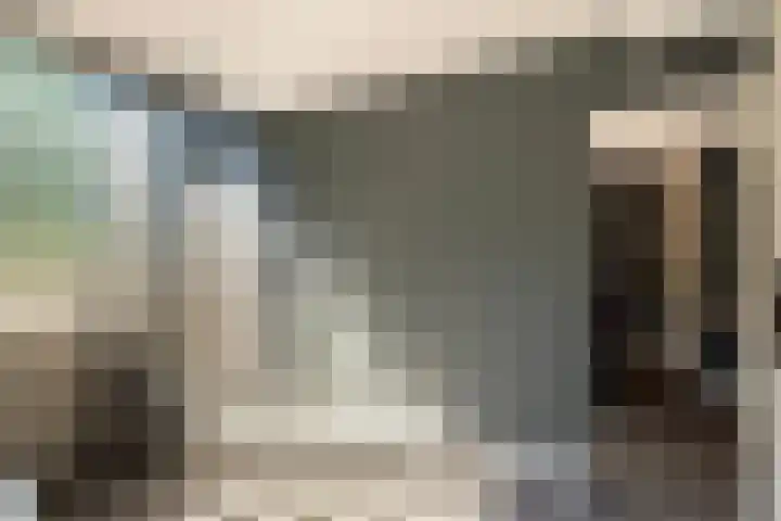 Patrijslaan 54 Honselersdijk thumbnail 34