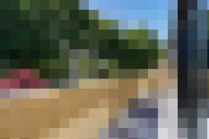 Patrijslaan 54 Honselersdijk thumbnail 37