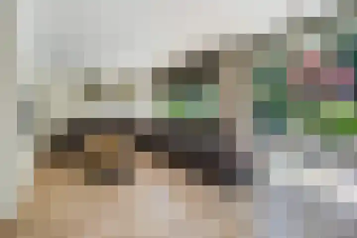 Patrijslaan 54 Honselersdijk thumbnail 4