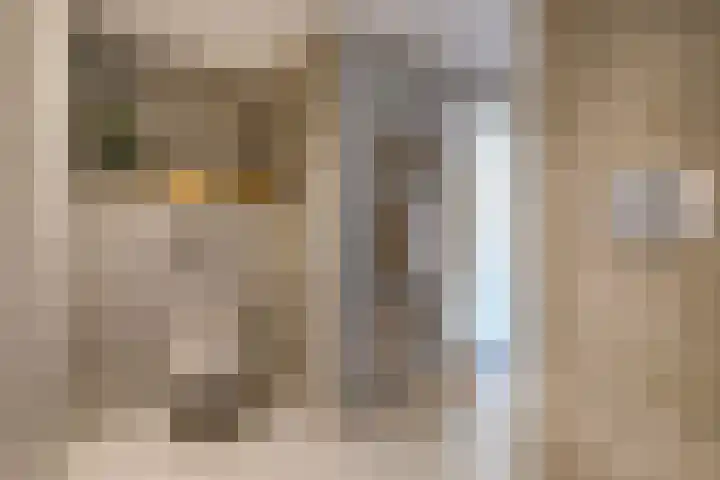 Patrijslaan 54 Honselersdijk thumbnail 42