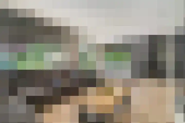 Patrijslaan 54 Honselersdijk thumbnail 5