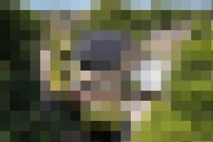 Patrijslaan 54 Honselersdijk thumbnail 52
