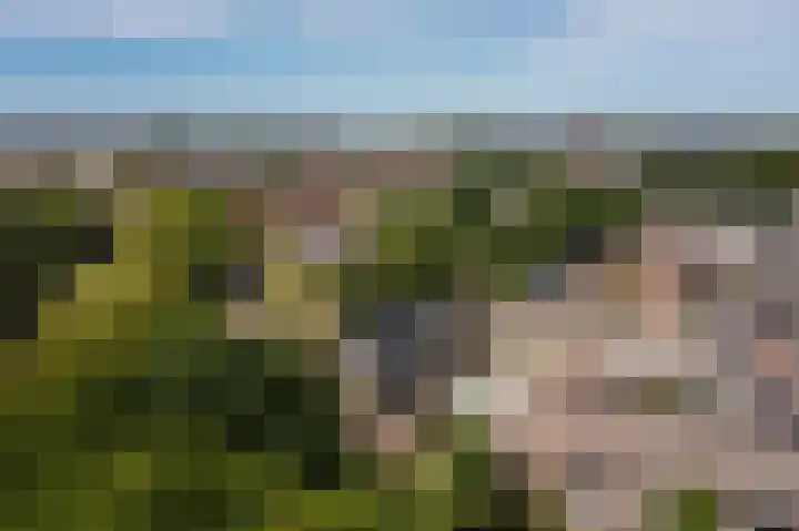 Patrijslaan 54 Honselersdijk thumbnail 55
