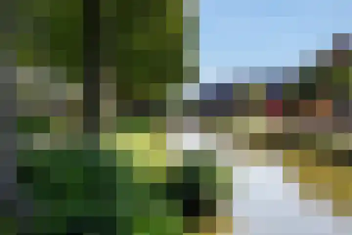 Patrijslaan 54 Honselersdijk thumbnail 56