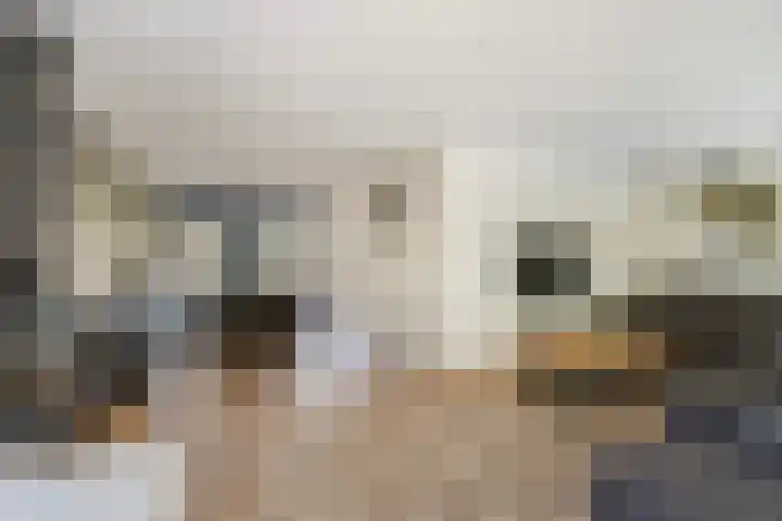 Patrijslaan 54 Honselersdijk thumbnail 7