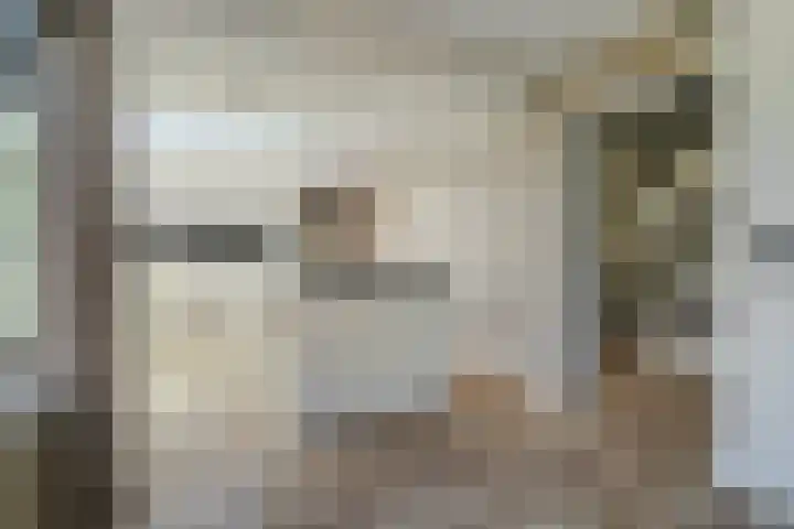 Patrijslaan 54 Honselersdijk thumbnail 9