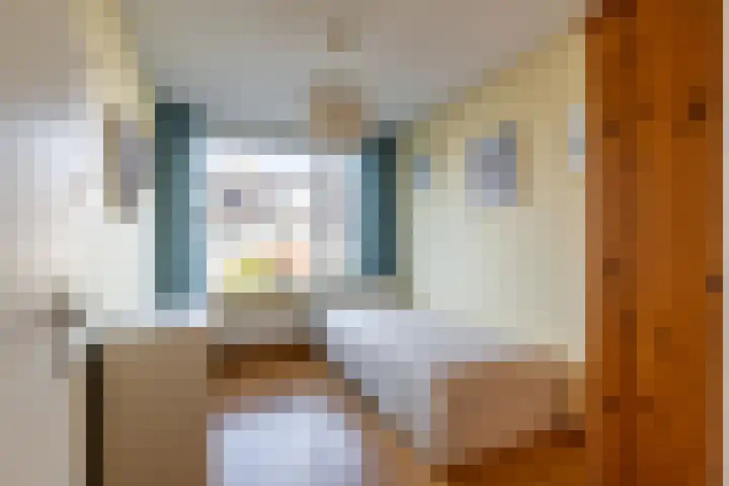 Patrijslaan 56 Leidschendam thumbnail 17