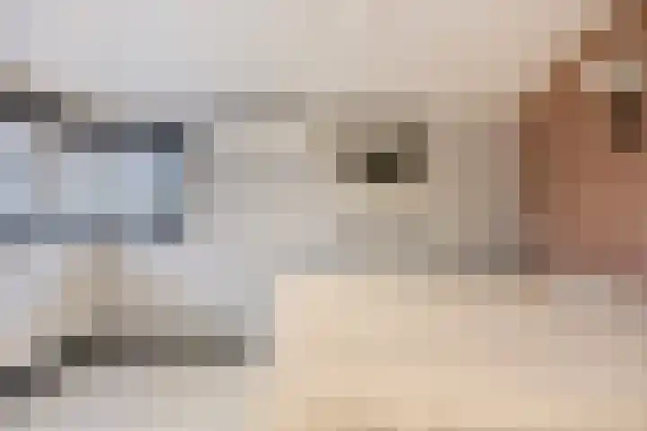 Patrijslaan 6 Budel thumbnail 17