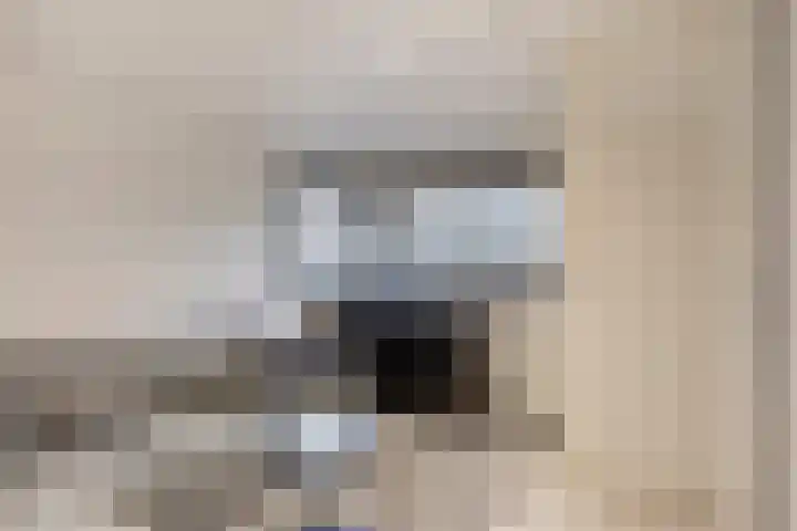 Patrijslaan 6 Budel thumbnail 18