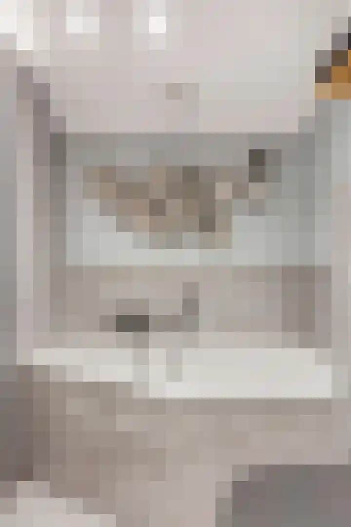Patrijslaan 6 Budel thumbnail 21