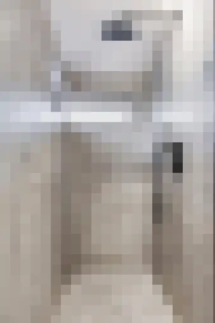Patrijslaan 6 Budel thumbnail 22