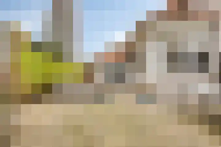 Patrijslaan 6 Budel thumbnail 23