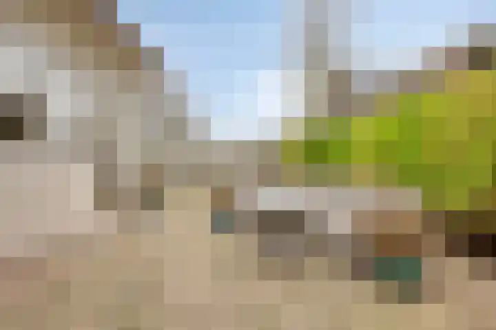 Patrijslaan 6 Budel thumbnail 25