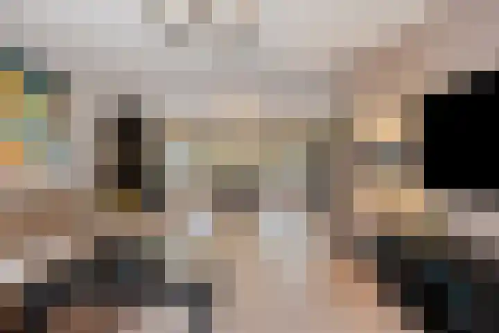 Patrijslaan 6 Budel foto 3