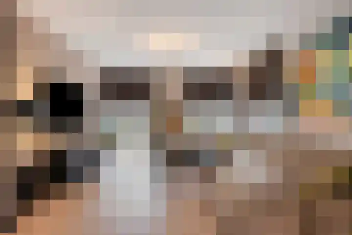 Patrijslaan 6 Budel thumbnail 4