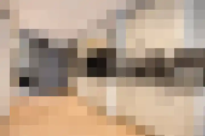 Patrijslaan 6 Budel thumbnail 8