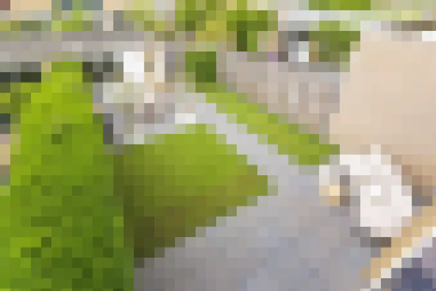 Patrijslaan 64 Leidschendam thumbnail 33