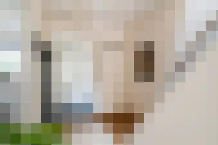 Patrijslaan 67 Leidschendam thumbnail 4