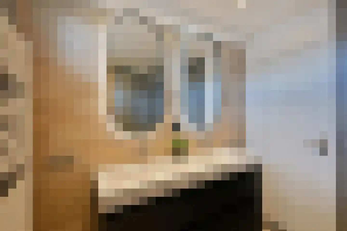 Patrijslaan 7 Ter Aar thumbnail 13