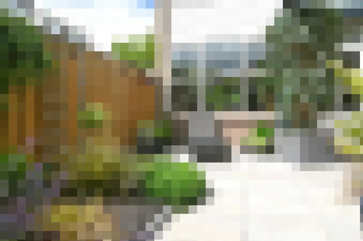 Patrijslaan 7 Ter Aar thumbnail 25