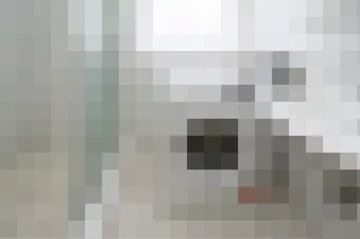 Patrijslaan 74 Dieren thumbnail 13