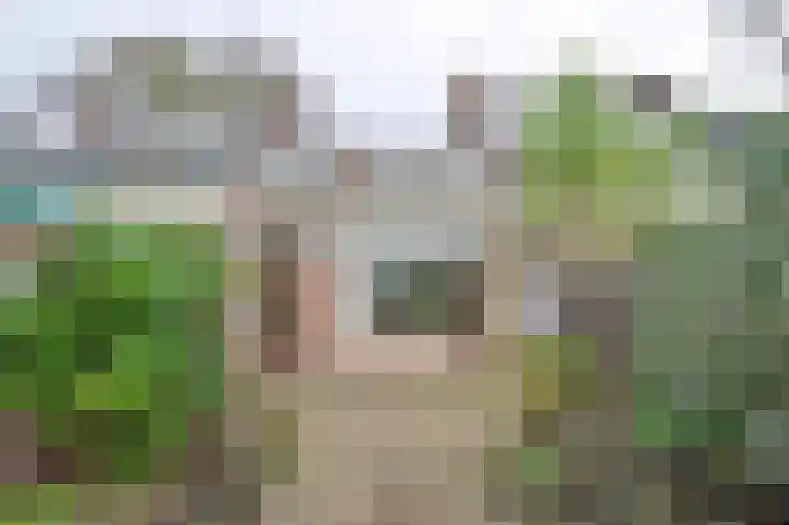 Patrijslaan 74 Dieren thumbnail 16