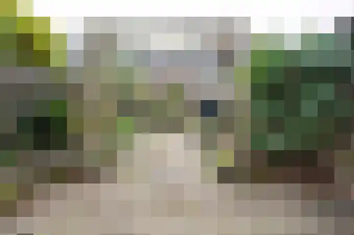 Patrijslaan 74 Dieren thumbnail 20