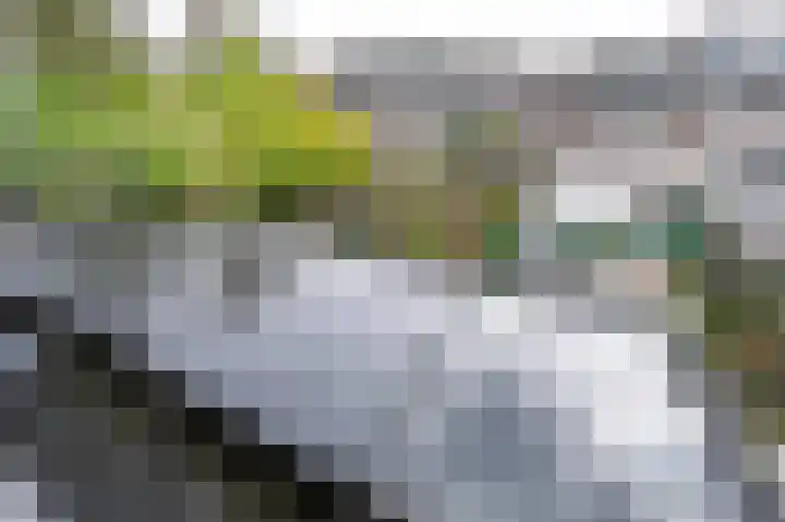 Patrijslaan 74 Dieren thumbnail 21