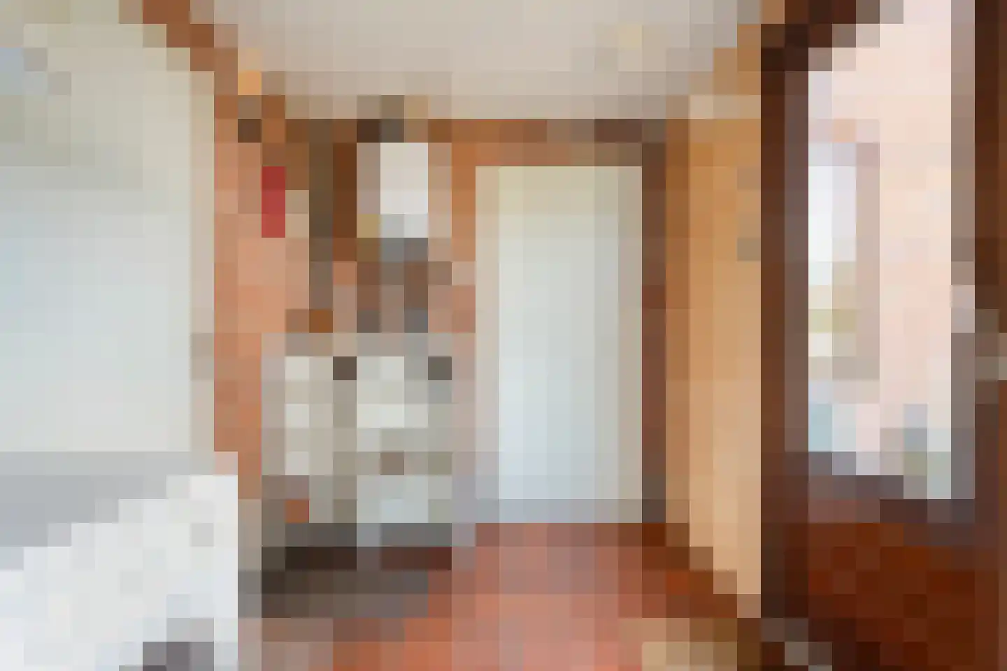 Patrijslaan 8 Ruinerwold thumbnail 22