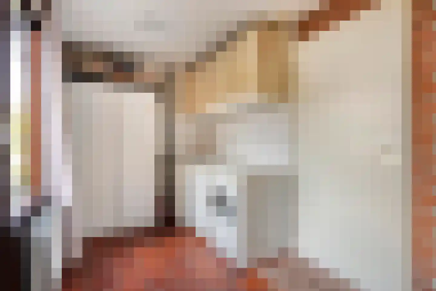 Patrijslaan 8 Ruinerwold thumbnail 23