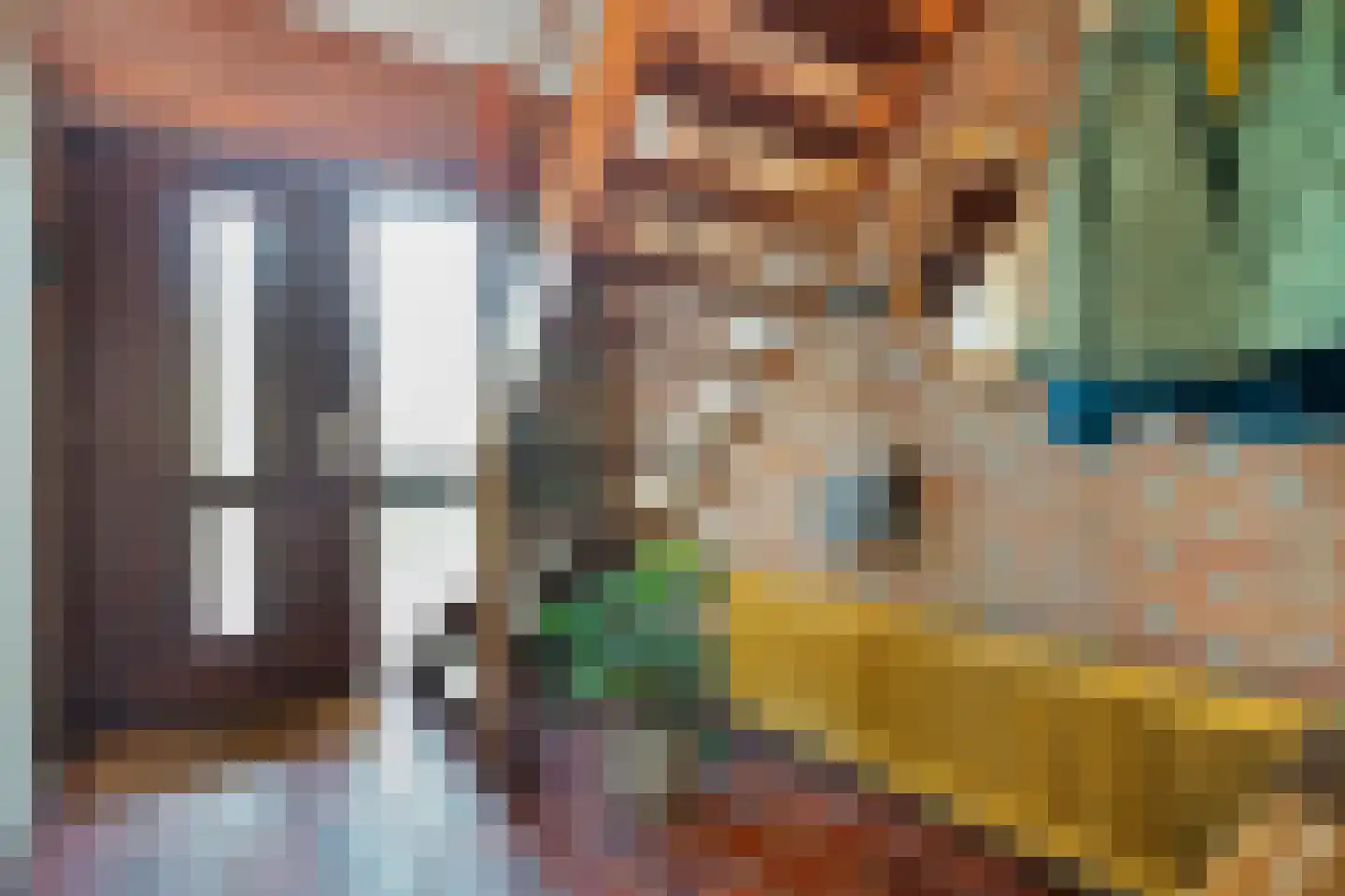 Patrijslaan 8 Ruinerwold thumbnail 24