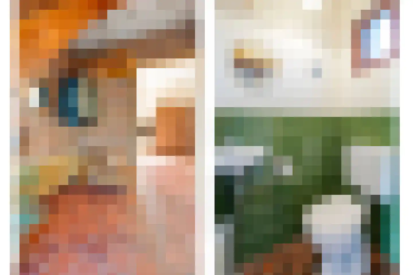 Patrijslaan 8 Ruinerwold thumbnail 26