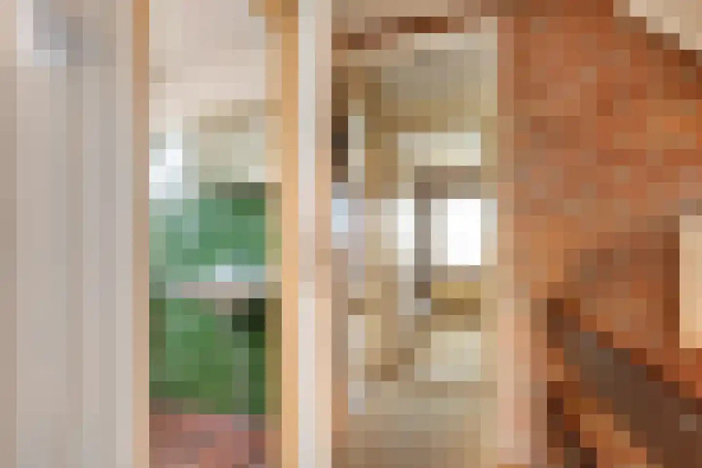 Patrijslaan 8 Ruinerwold thumbnail 28