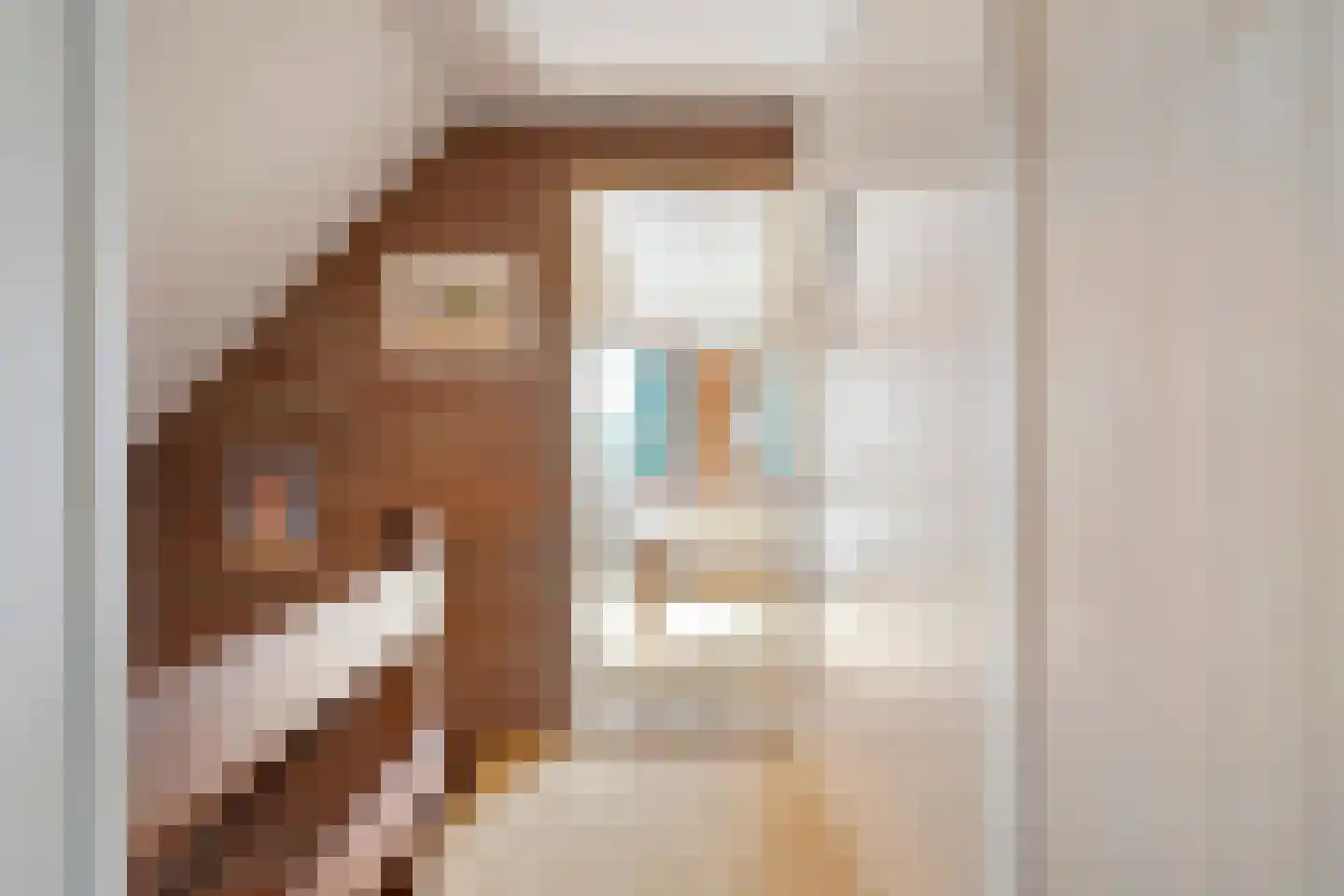 Patrijslaan 8 Ruinerwold thumbnail 29