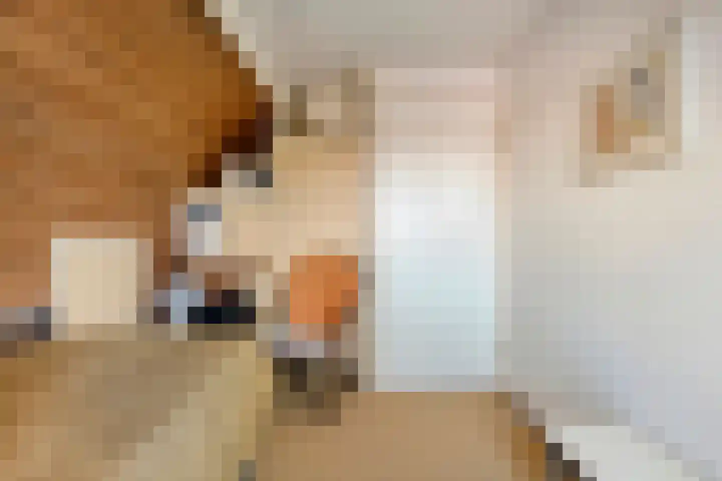 Patrijslaan 8 Ruinerwold thumbnail 33