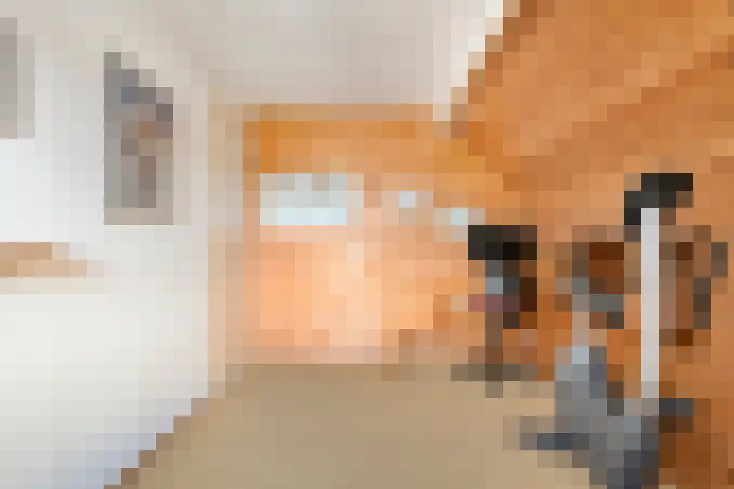 Patrijslaan 8 Ruinerwold thumbnail 36