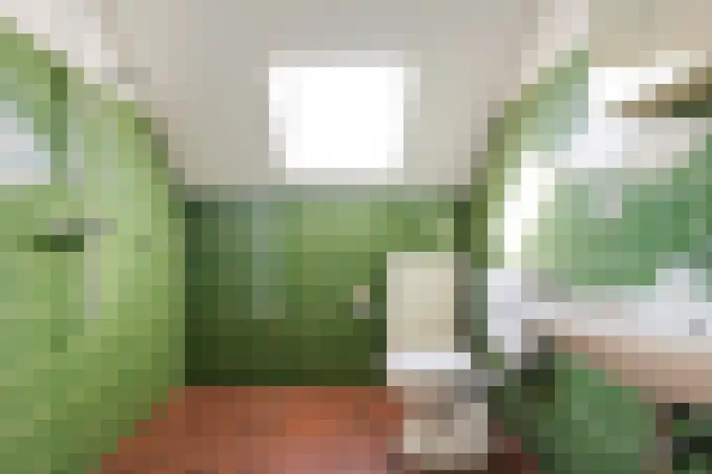 Patrijslaan 8 Ruinerwold thumbnail 37