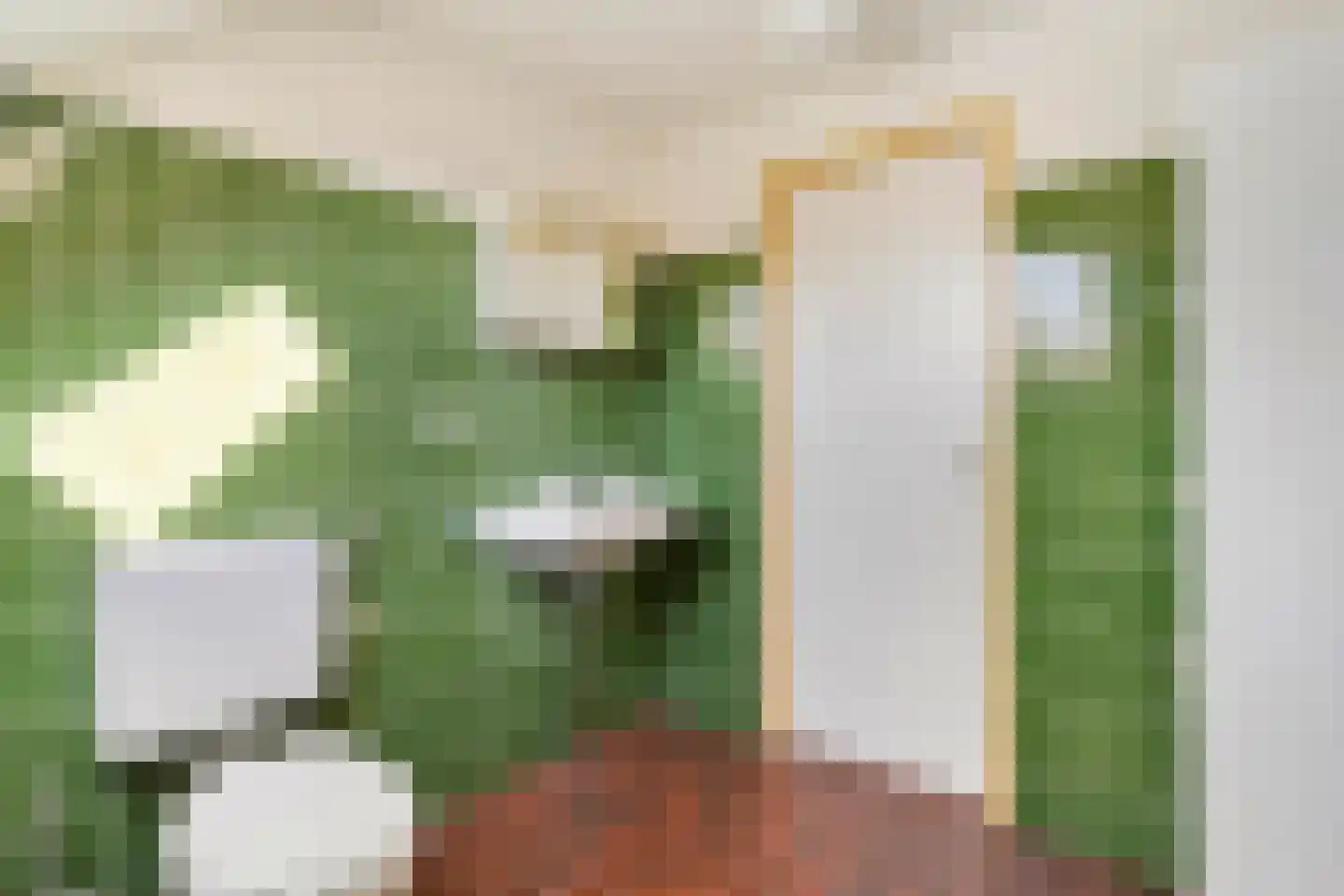 Patrijslaan 8 Ruinerwold thumbnail 38