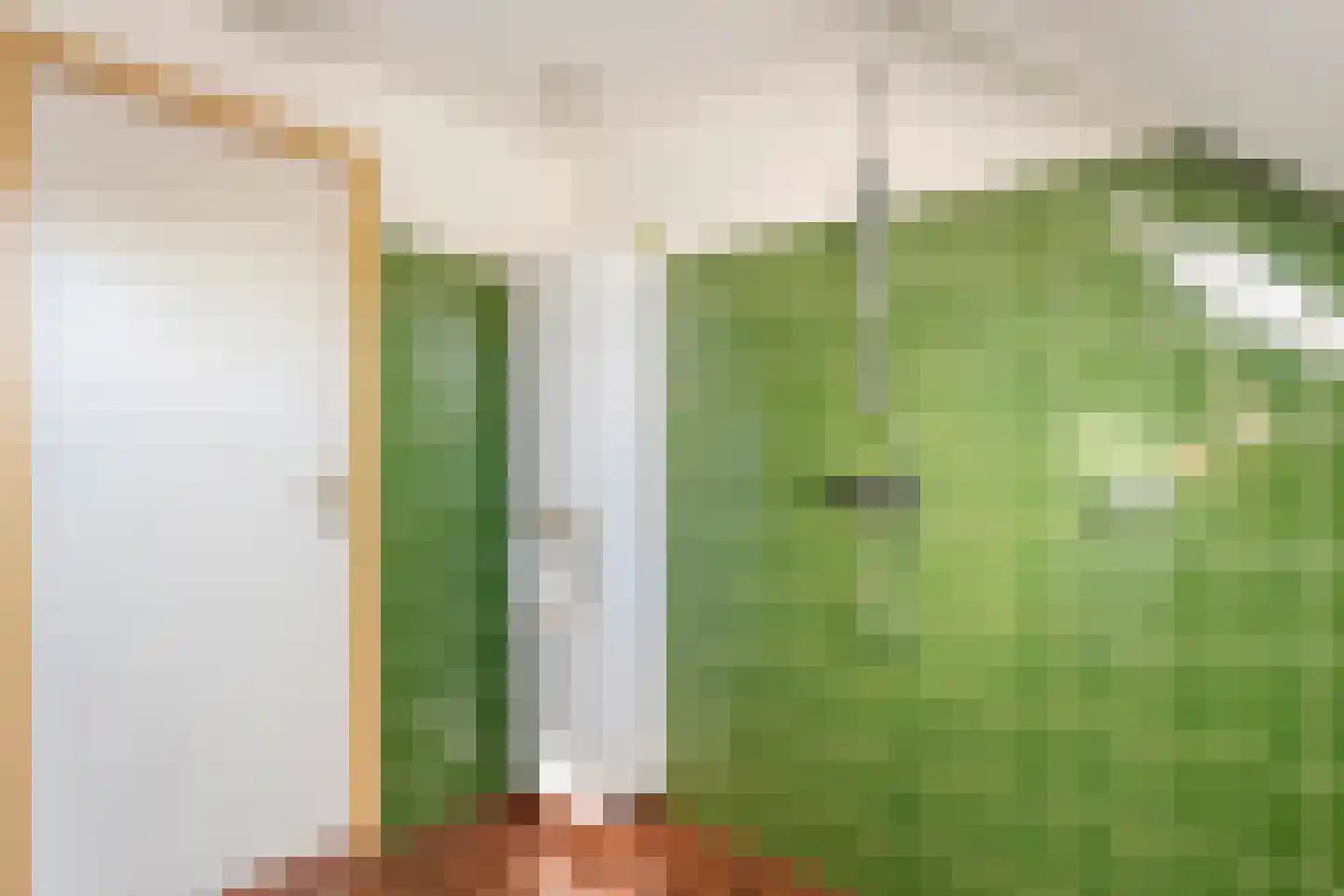 Patrijslaan 8 Ruinerwold thumbnail 39