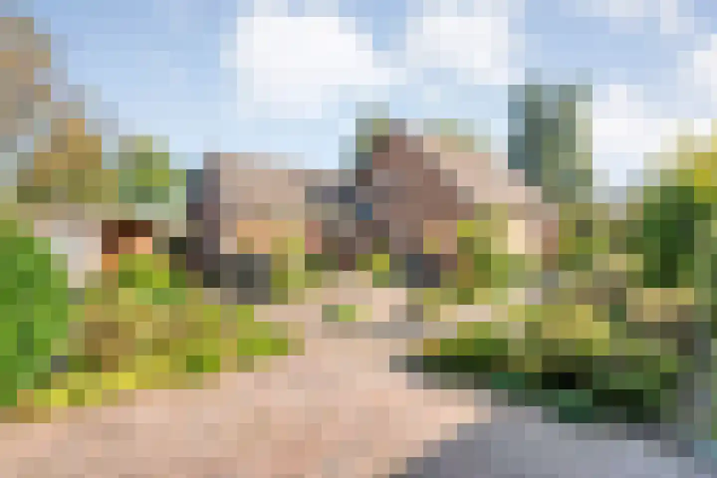 Patrijslaan 8 Ruinerwold thumbnail 4