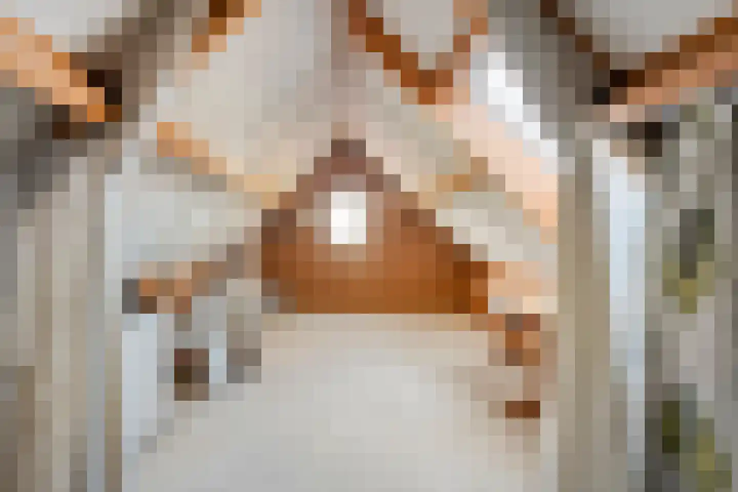 Patrijslaan 8 Ruinerwold thumbnail 41