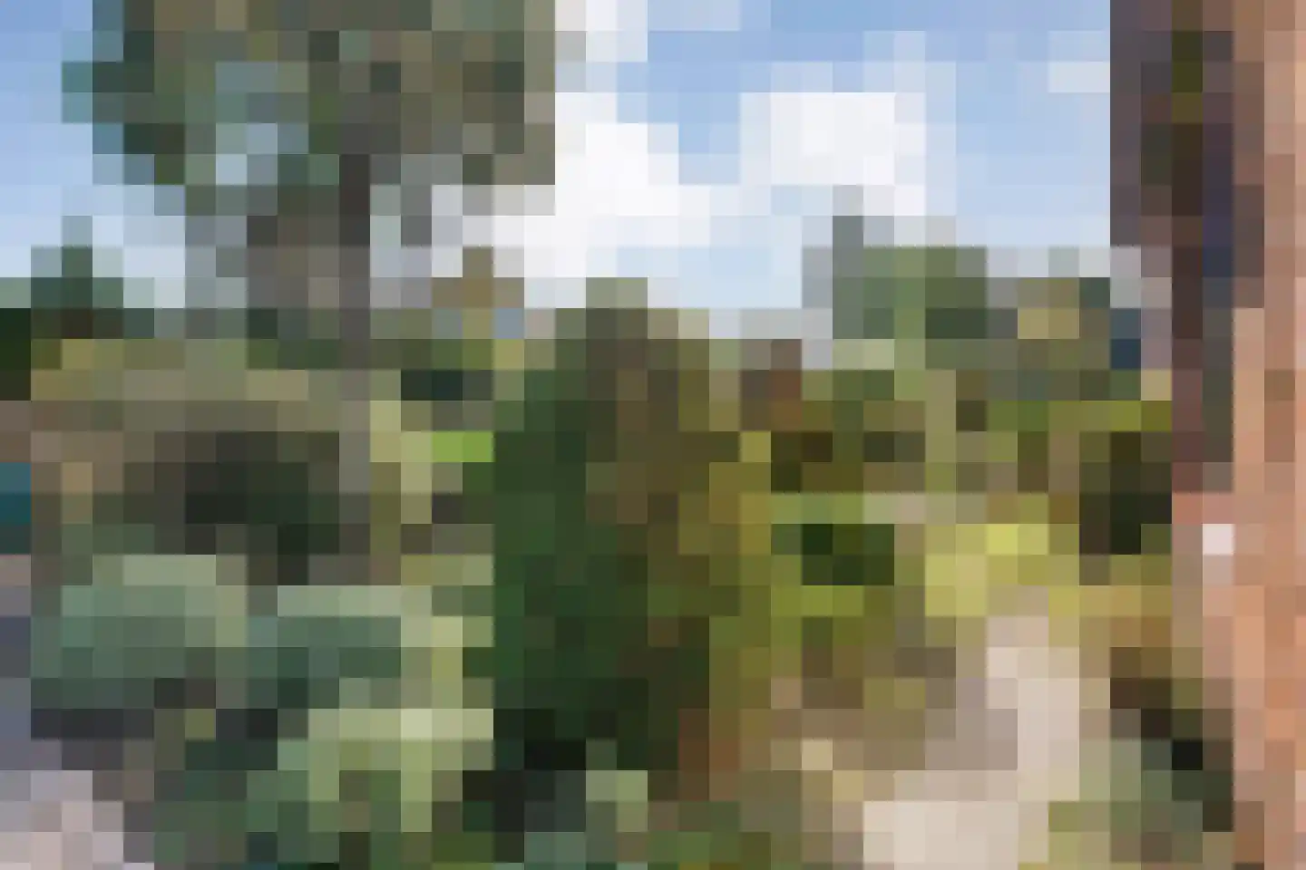 Patrijslaan 8 Ruinerwold thumbnail 42