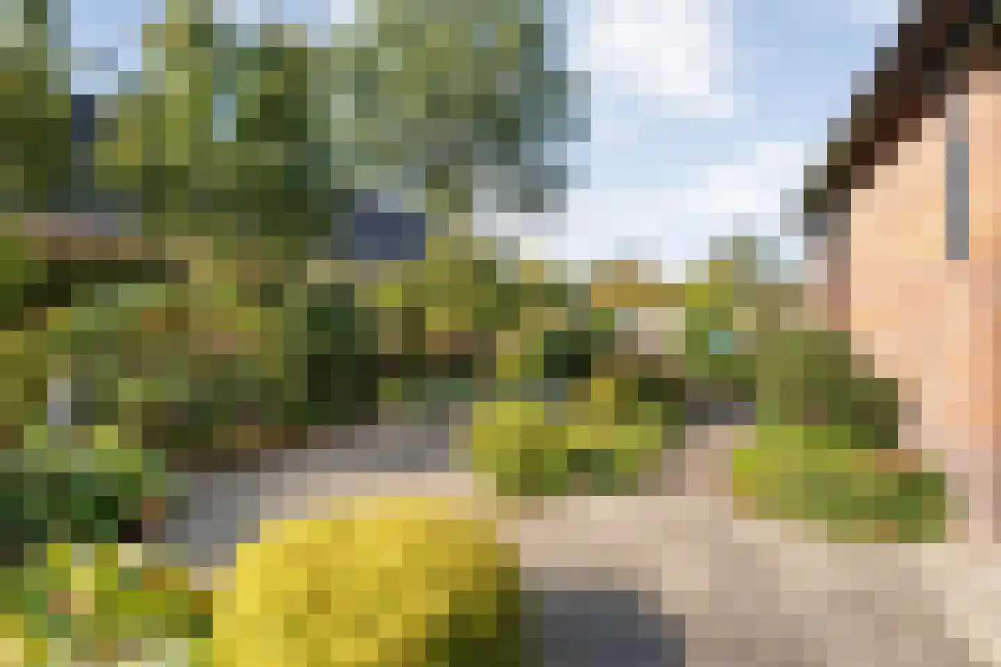 Patrijslaan 8 Ruinerwold thumbnail 43